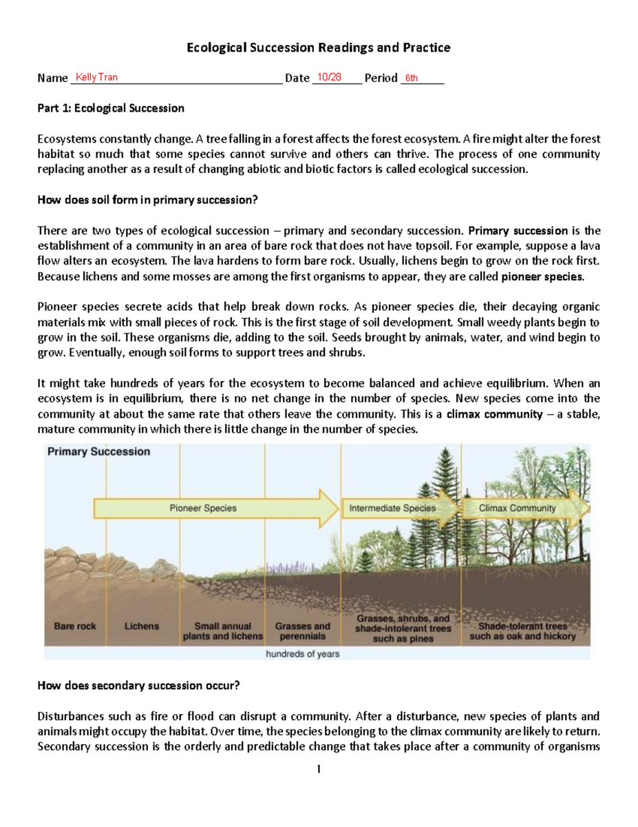 Ecological Succession Worksheet Key Concepts And Practice Questions Studocu