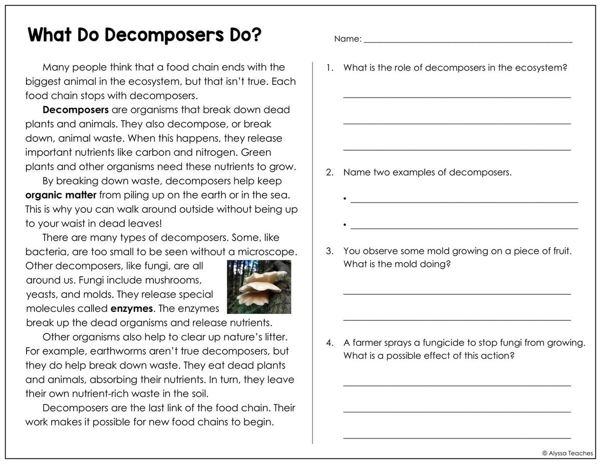 Ecosystems Worksheets