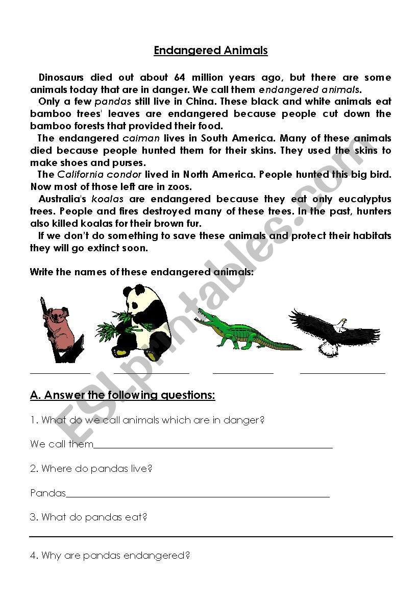 Endangered Animals ESL Worksheet By Ahmed B Endangered Animals ESL Worksheet By Ahmed B