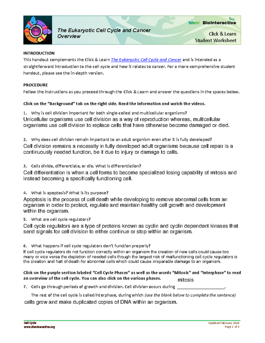 EUK 101 Cell Cycle Cancer Student Worksheet For Review Studocu The Cell Cycle And Cancer Worksheet Answer Key Exercises Biology Docsity