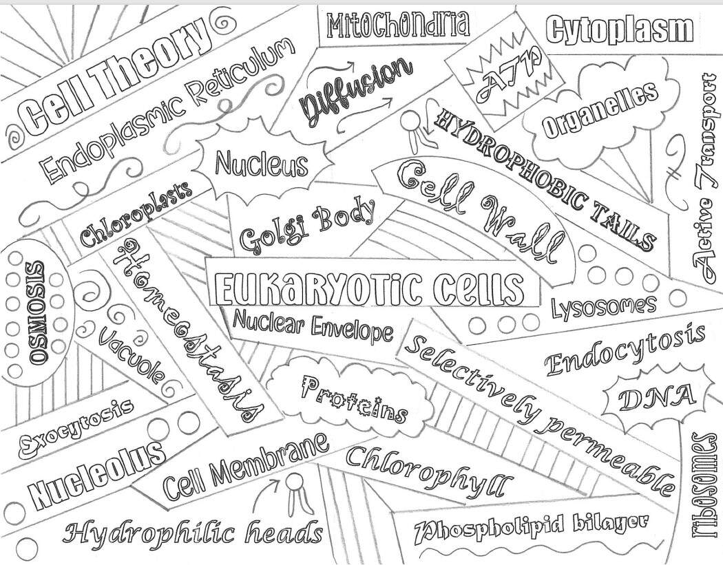 Eukaryotic Cell Word Collage Vocabulary Worksheet Coloring Biology Science Classful