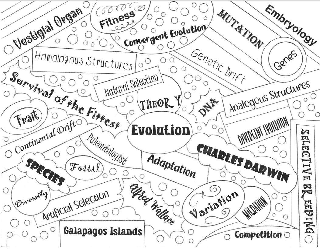 Evolution Word Collage Vocabulary Coloring Biology Science Word Wall Classful Evolution Word Collage Vocabulary Coloring Biology Science Word Wall Classful