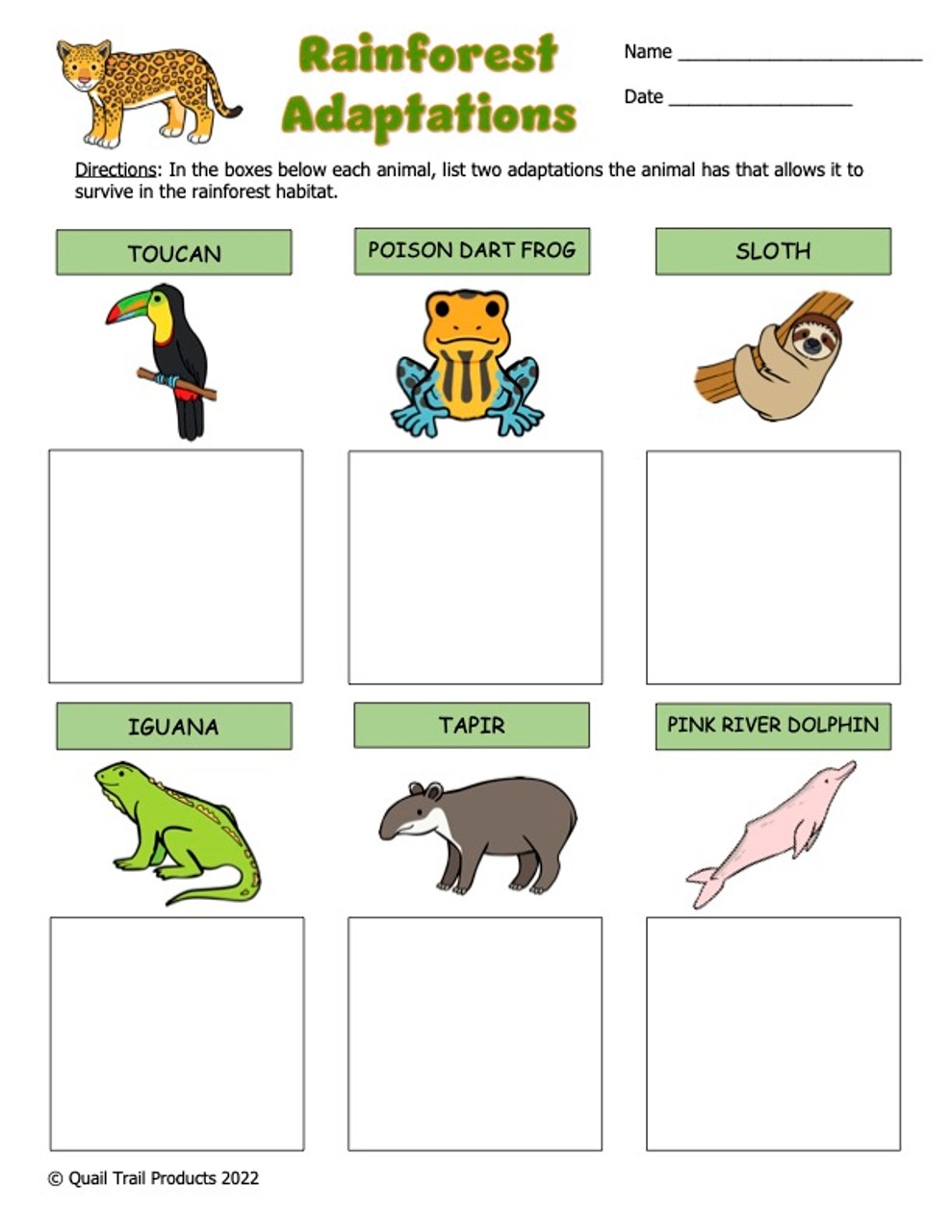 Explore Animal Adaptations Worksheets For Engaging Science Learning Explore Animal Adaptations Worksheets For Engaging Science Learning