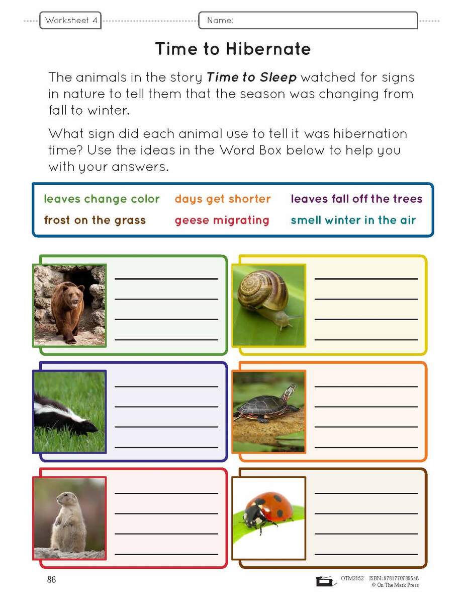 Explore Animal Adaptations Worksheets For Engaging Science Learning