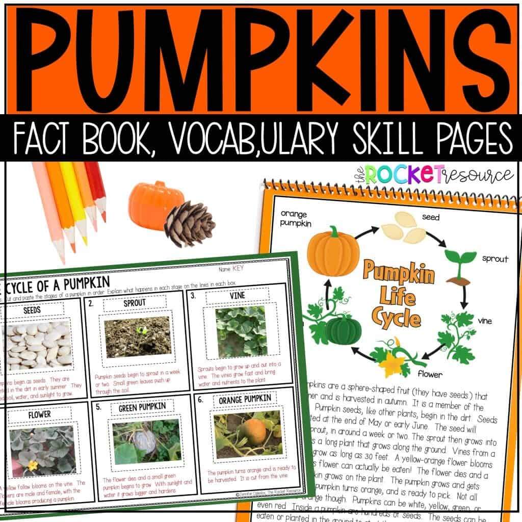 Favorite Fall Activities For Elementary The Rocket Resource Favorite Fall Activities For Elementary The Rocket Resource