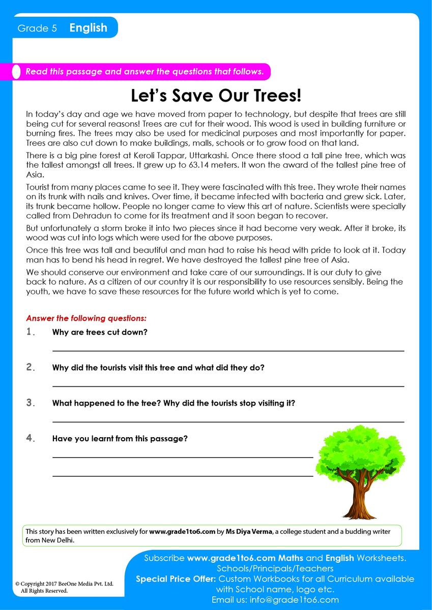 Fifth Grade Reading Comprehension Worksheets Fifth Grade Reading Comprehension Worksheets