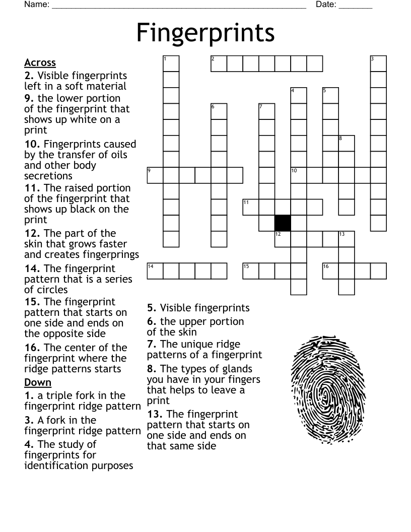 Fingerprints Crossword WordMint Fingerprints Crossword WordMint