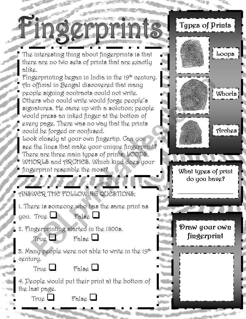 Fingerprints ESL Worksheet By Mchretien Collecting Fingerprints Quiz Worksheet For Kids Study