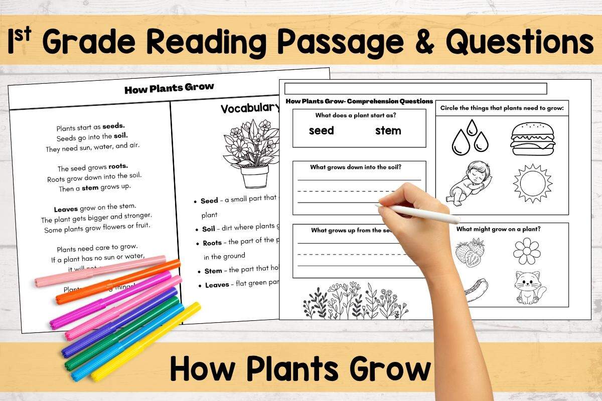 First Grade Reading Comprehension Passage How Plants Grow Etsy