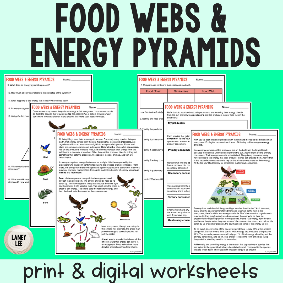 Storyboard That Free Food Chain Worksheet Templates