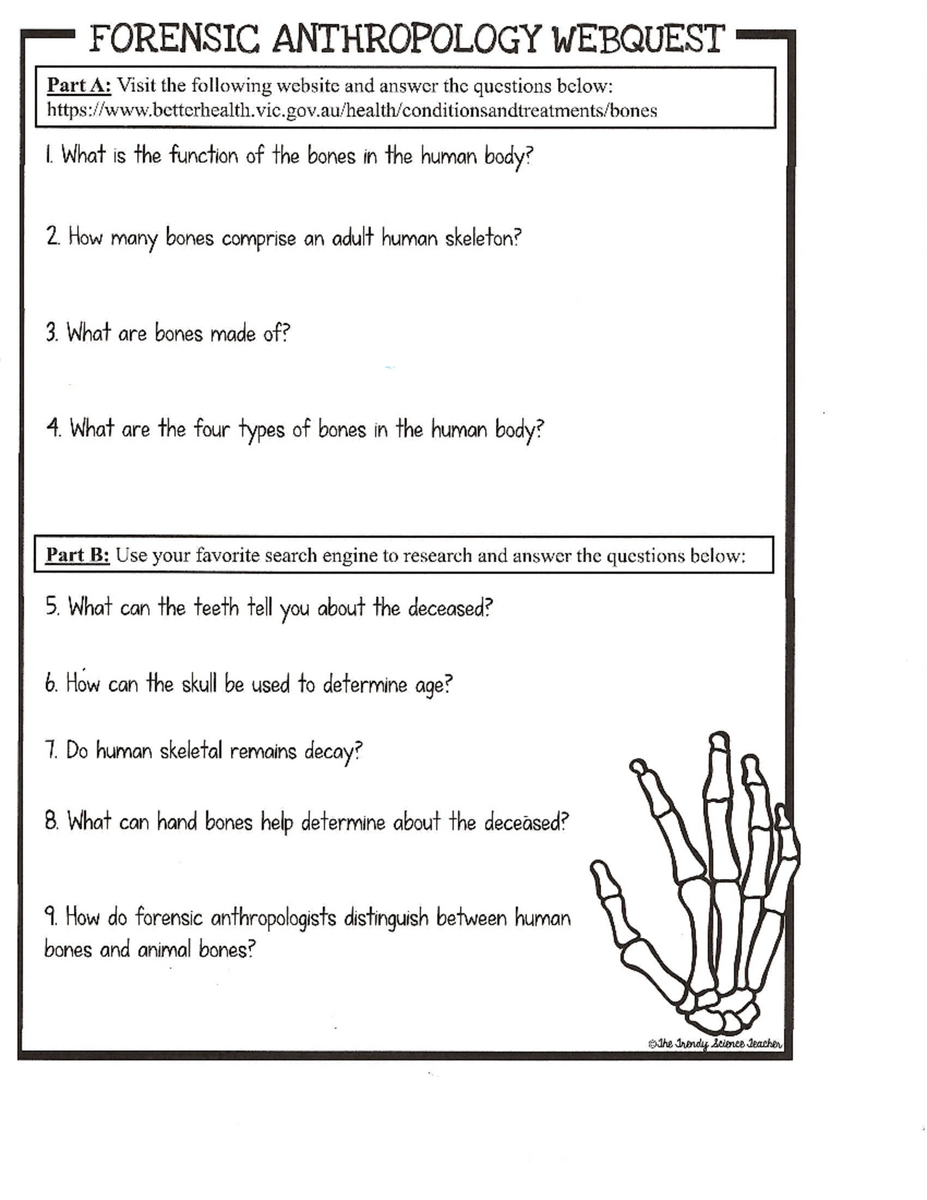 Forensic Anthropology Webquest Day 4 Exploring Bone Functions And Cases Studocu Forensic Anthropology Webquest Day 4 Exploring Bone Functions And Cases Studocu
