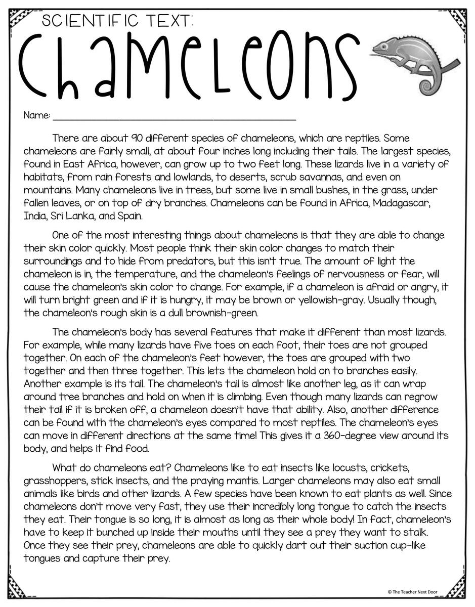 FREE Close Reading Using Informational Text For 3rd Grade The Worksheets Library FREE Close Reading Using Informational Text For 3rd Grade The Worksheets Library