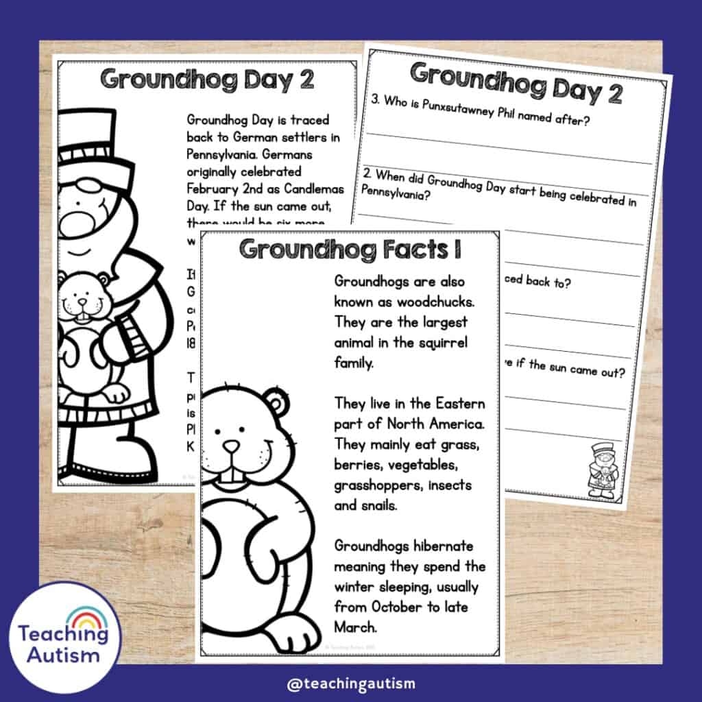 Free Groundhog Day Reading Comprehension Teaching Autism