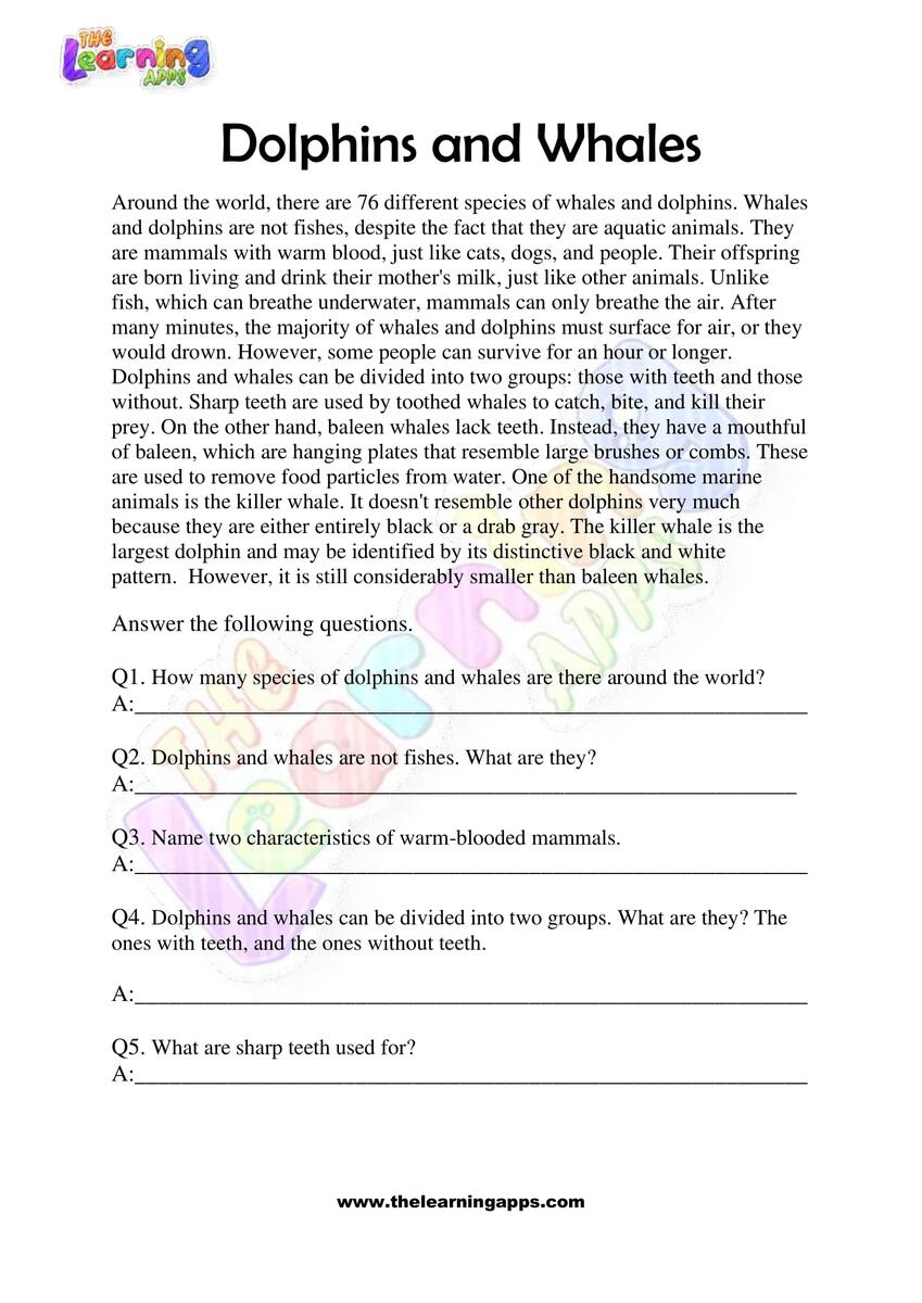 Free Non Fiction Reading Passages Worksheets For Grade 3 Reading Comprehension Answering WH Questions MAY 3 LEVELS Chalkboard Superhero