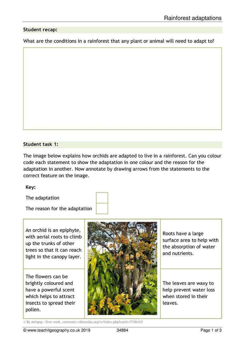 Free Plant Adaptation Worksheet Download Free Plant Adaptation Worksheet Png Images Free Worksheets On Clipart Library Free Plant Adaptation Worksheet Download Free Plant Adaptation Worksheet Png Images Free Worksheets On Clipart Library