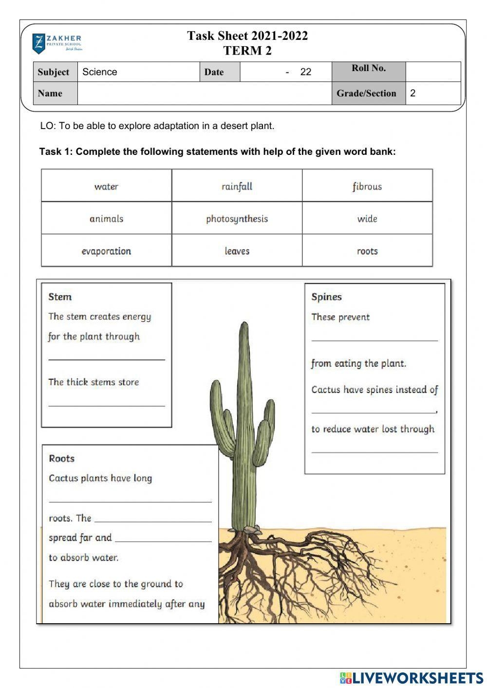 Free Plant Adaptation Worksheet Download Free Plant Adaptation Worksheet Png Images Free Worksheets On Clipart Library Free Plant Adaptation Worksheet Download Free Plant Adaptation Worksheet Png Images Free Worksheets On Clipart Library