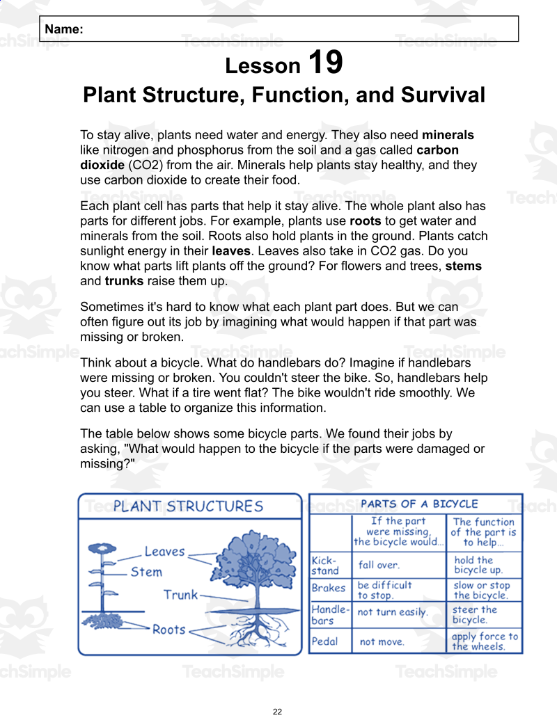 Free Reading Passage Plant Structure Function And Survival Docs By Teach Simple Free Reading Passage Plant Structure Function And Survival Docs By Teach Simple