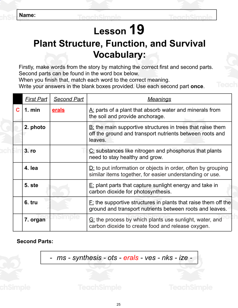 Free Reading Passage Plant Structure Function And Survival PDF By Teach Simple Free Reading Passage Plant Structure Function And Survival PDF By Teach Simple