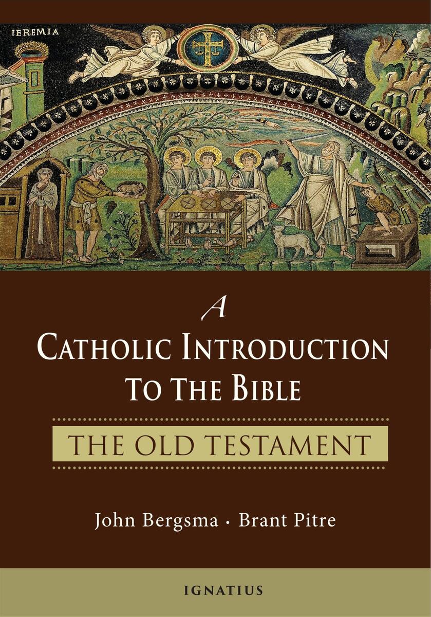 Free Shipping John Bergsma A Guide To The Old Testament Hardcover Biblical Studies Walmart Free Shipping John Bergsma A Guide To The Old Testament Hardcover Biblical Studies Walmart