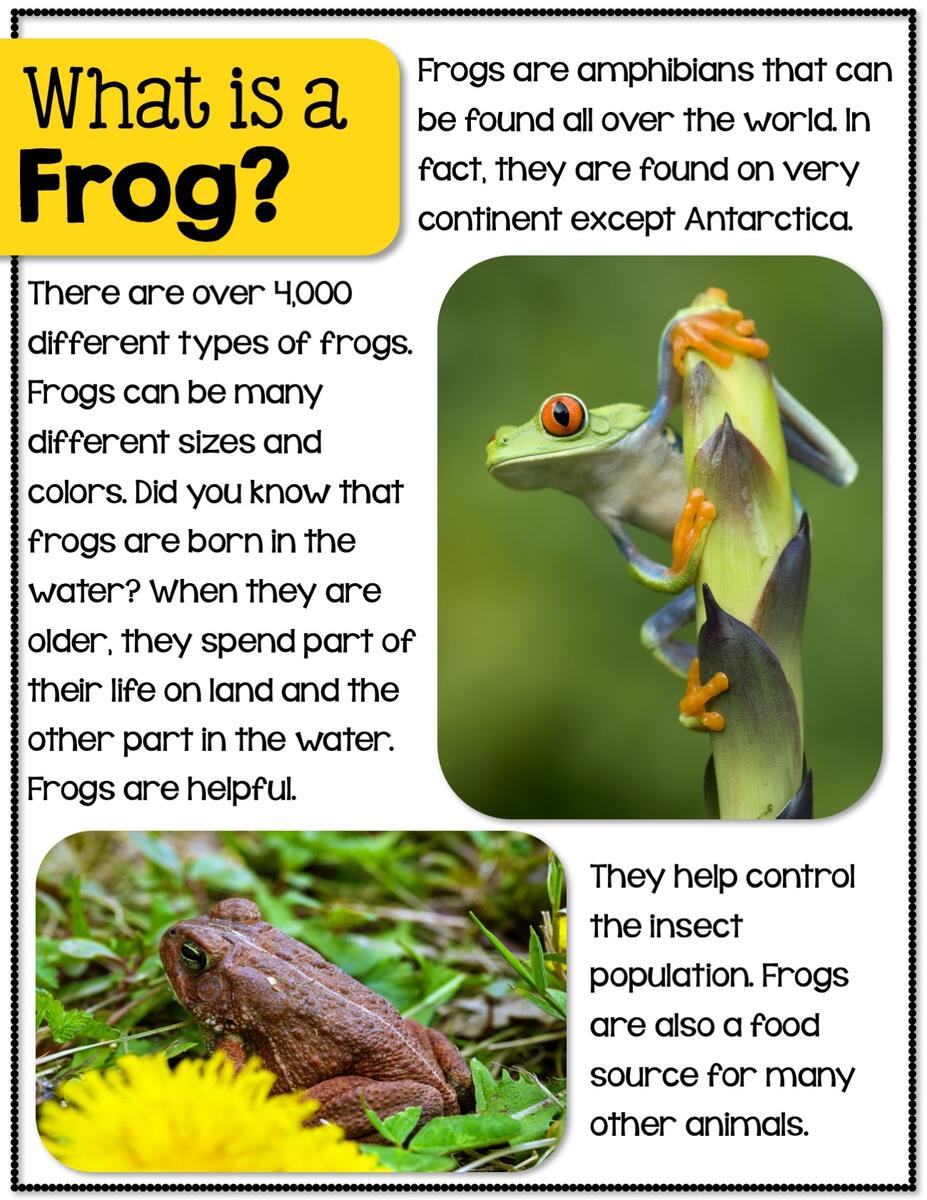 Frogs Nonfiction Unit The Teacher Bag Frog Day Grade 2 Reading Comprehension Worksheet