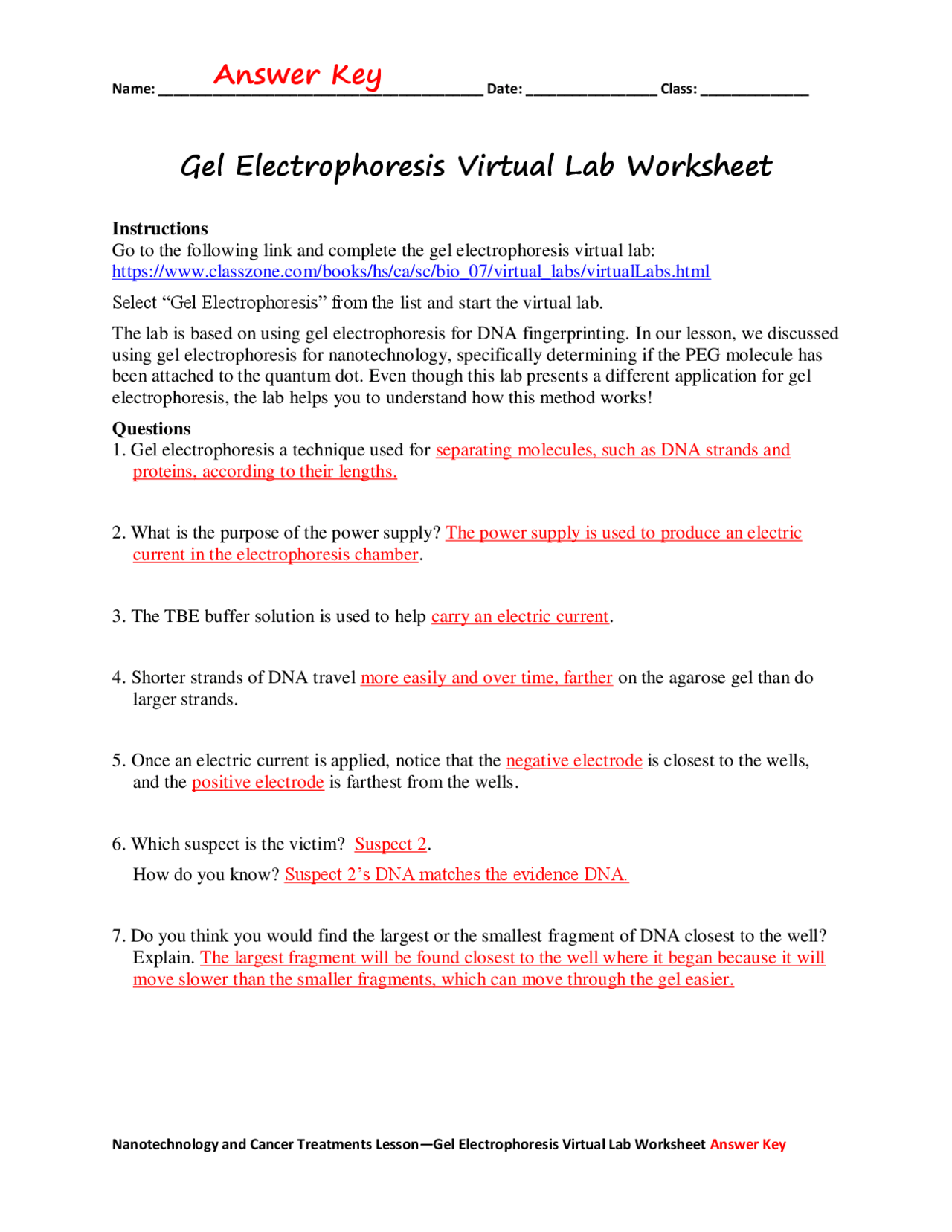 Gel Electrophoresis Virtual Lab Worksheet Answer Key Exercises Genetics Docsity Gel Electrophoresis Virtual Lab Worksheet Answer Key Exercises Genetics Docsity