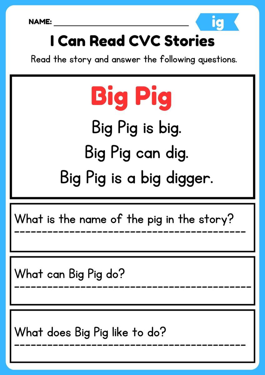 Ig CVC Decodable Short Stories With Questions Word Families Made By Teachers