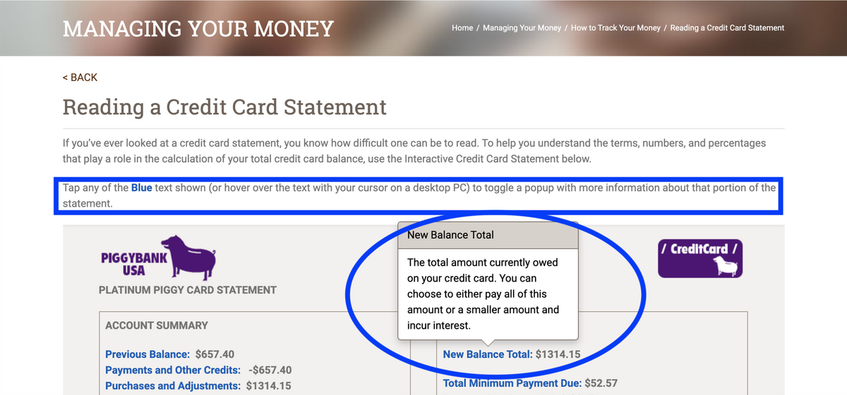 Interactive Credit Card Statement Blog