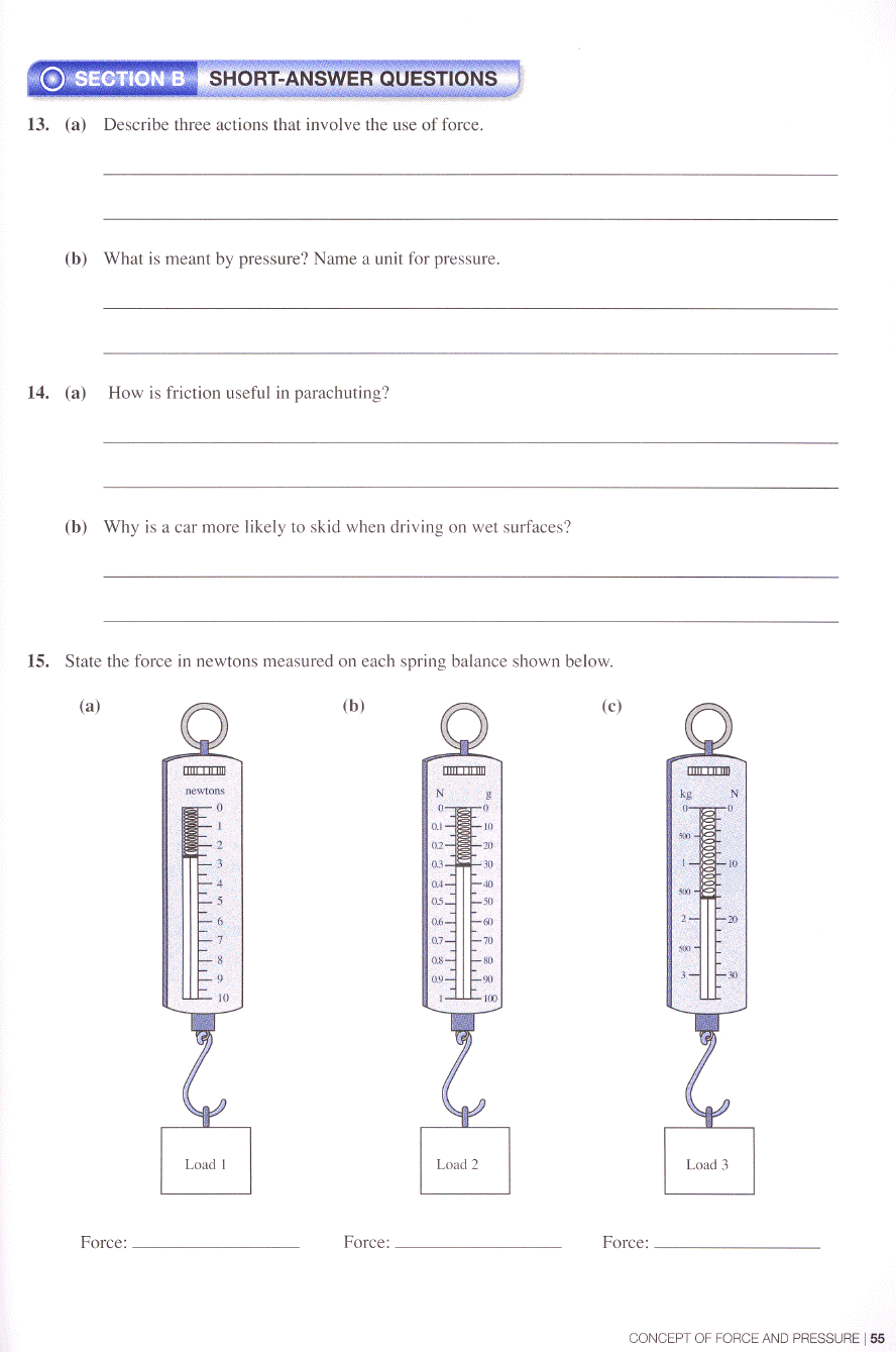 Interactive Science For Inquiring Minds B Theory Workbook Exodus Books