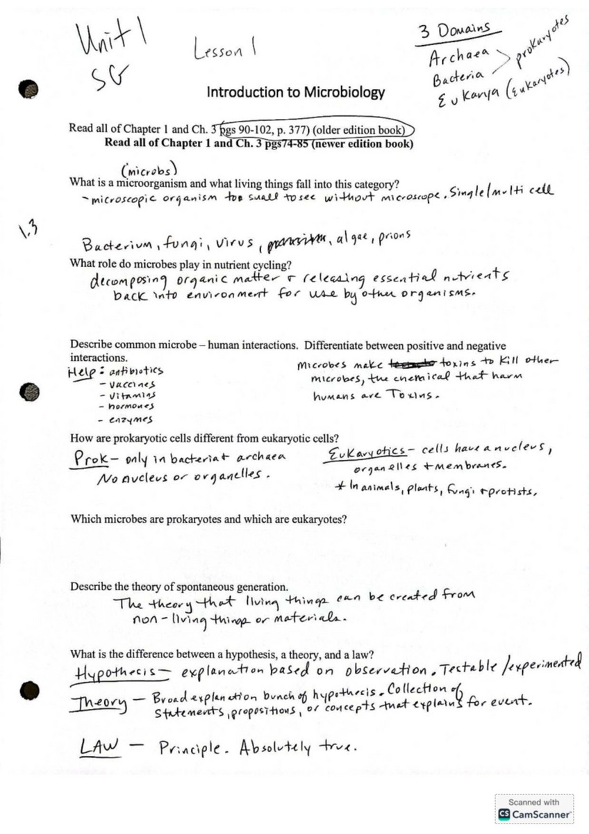 Intro To Microbiology Lesson 1 Archaea Prokaryotes Unit 1 Studocu Intro To Microbiology Lesson 1 Archaea Prokaryotes Unit 1 Studocu
