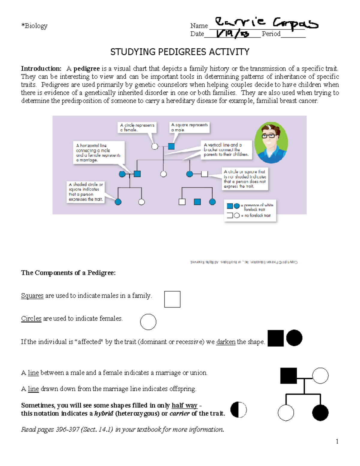 Introduction To Pedigree Analysis Worksheet For Biology Class Studocu