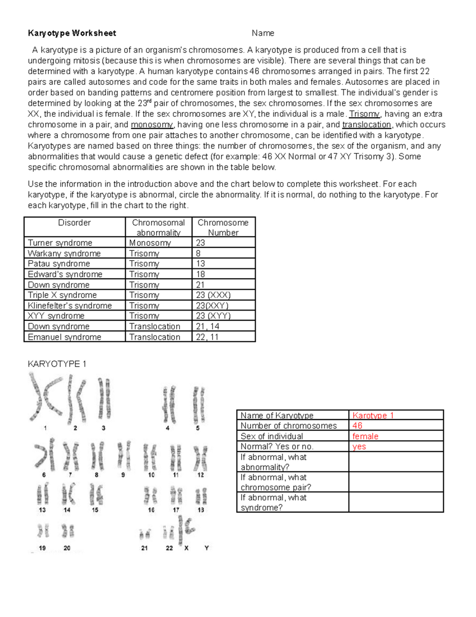 Karyotype Analysis Worksheet Understanding Chromosomal Abnormalities Studocu Karyotype Analysis Worksheet Understanding Chromosomal Abnormalities Studocu