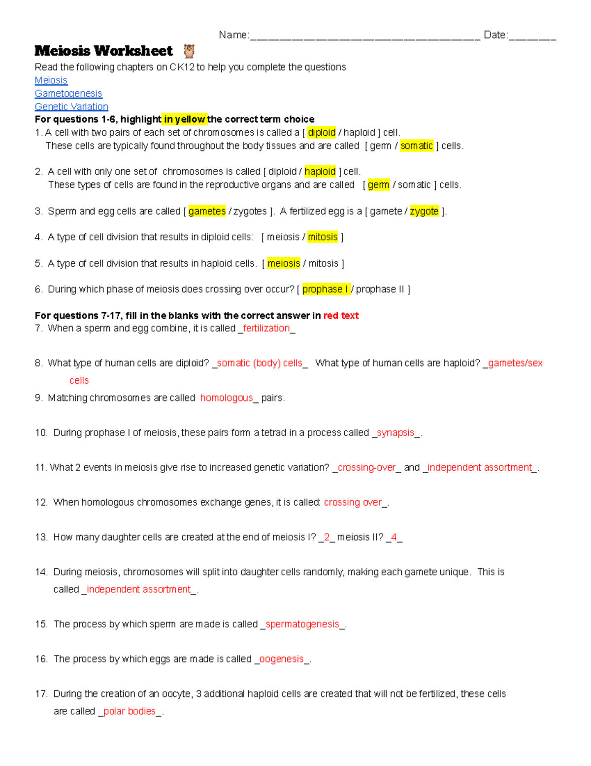 KEY Meiosis Worksheet BIO 101 Studocu