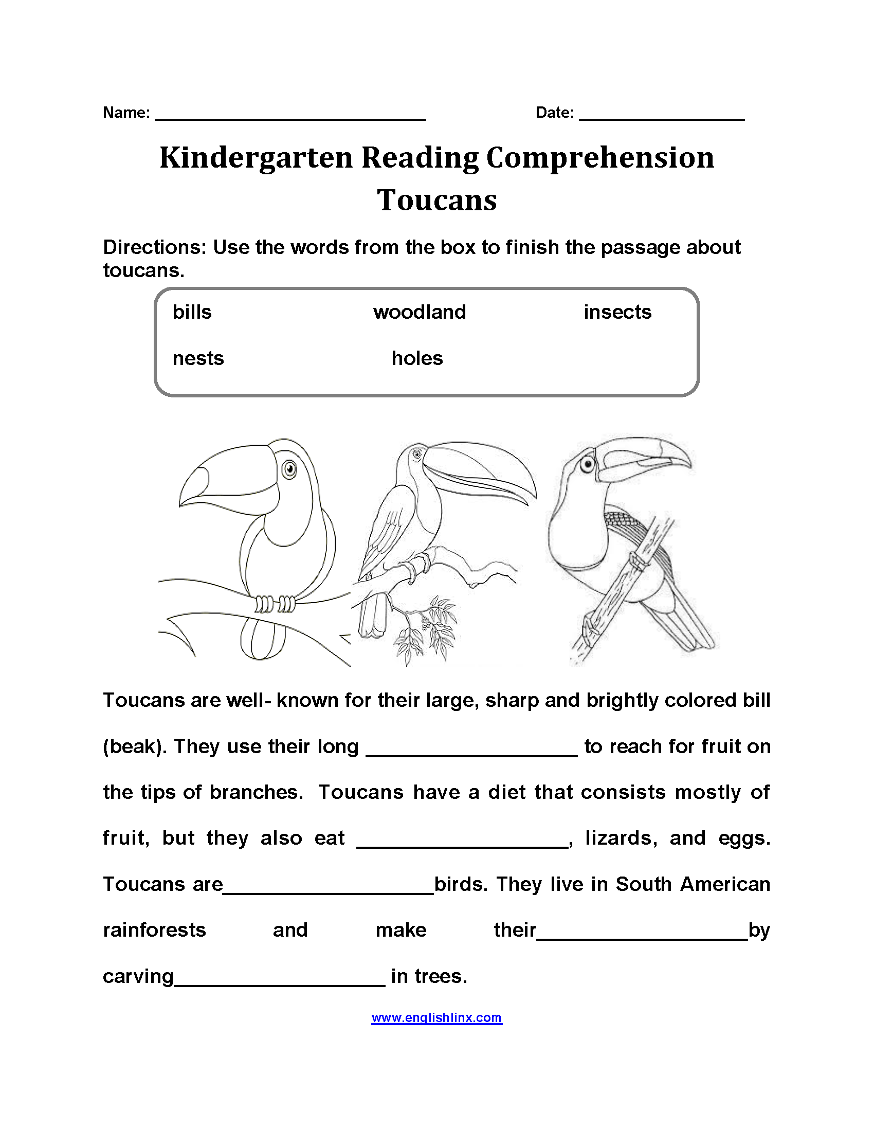 Winter Themed Reading Comprehension Kindergarten First Grade Classful