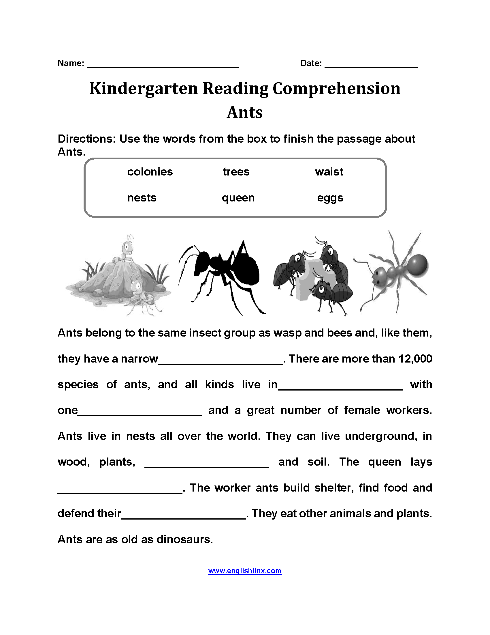 Kindergarten Reading Comprehension Worksheets Free Printable Passages And Questions