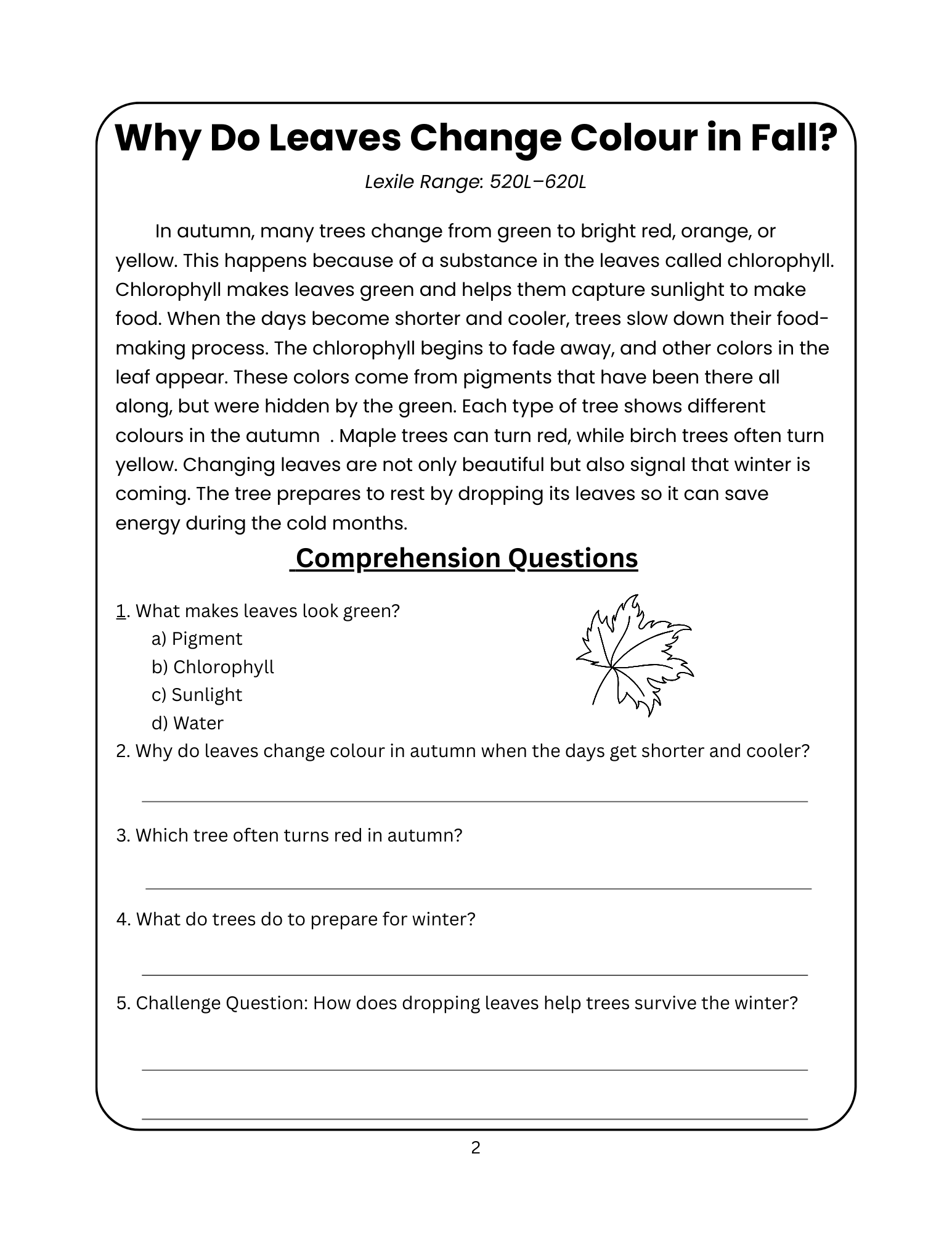 KS2 Autumn Reading Comprehension Pack Fiction Nonfiction Passages Printable PDF Teaching Resources