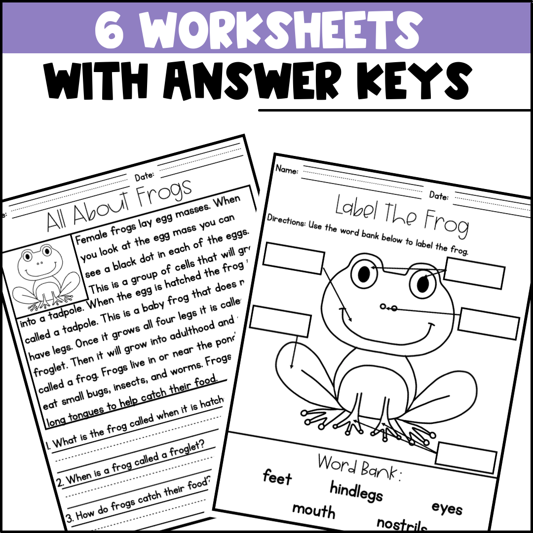 Life Cycle Of A Frog Activities Worksheets Booklet Posters Frog Life Cycle Made By Teachers Life Cycle Of A Frog Activities Worksheets Booklet Posters Frog Life Cycle Made By Teachers