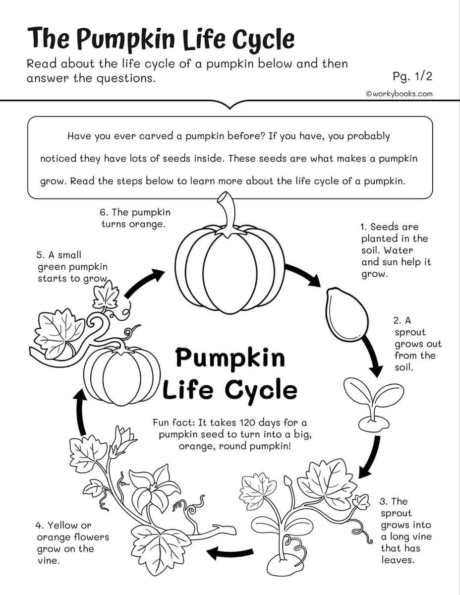Life Cycles Worksheets Workybooks 10 Free Science Reading Passages Worksheets Workybooks
