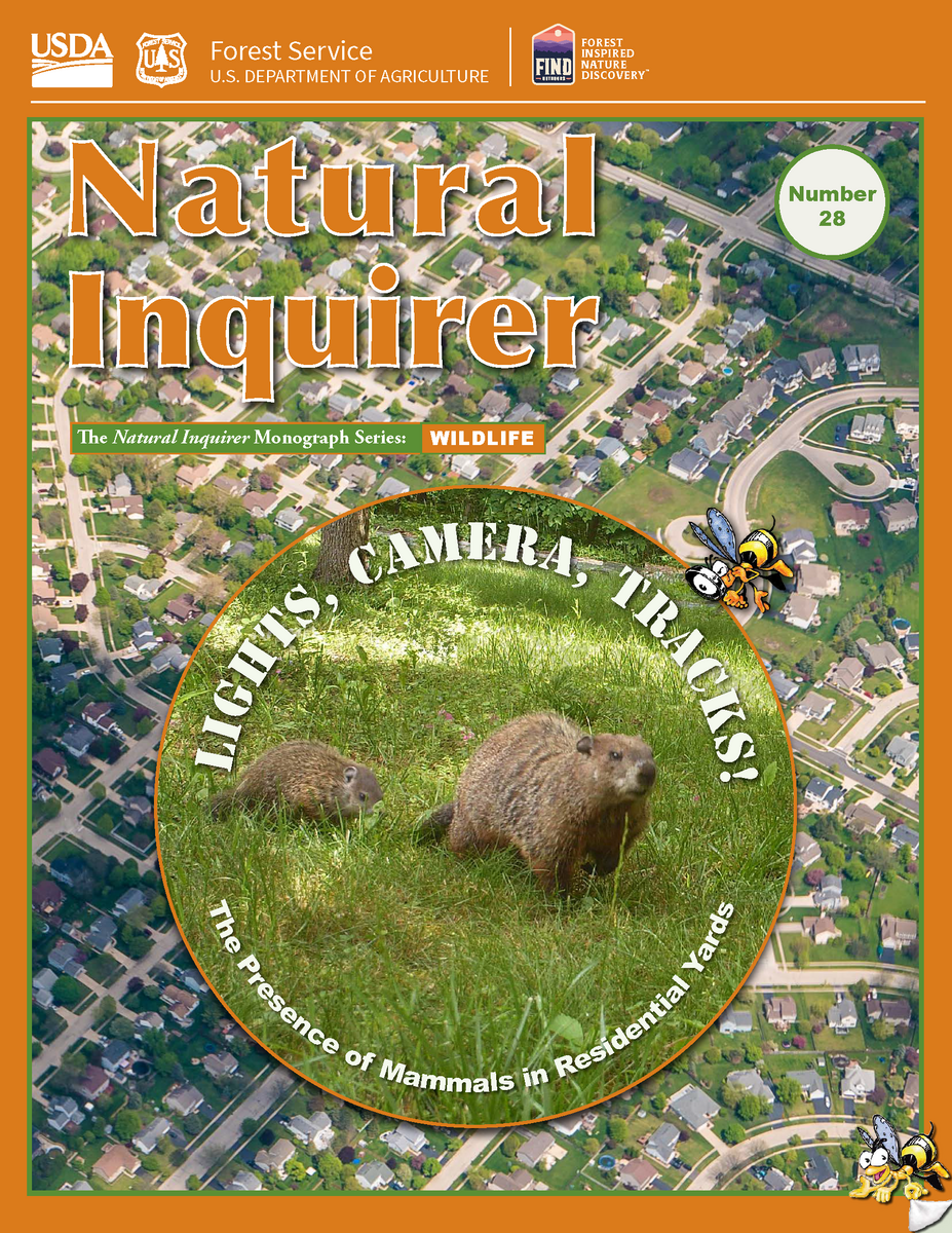 Lights Camera Tracks Vol 1 No 28 Natural Inquirer Lights Camera Tracks Vol 1 No 28 Natural Inquirer