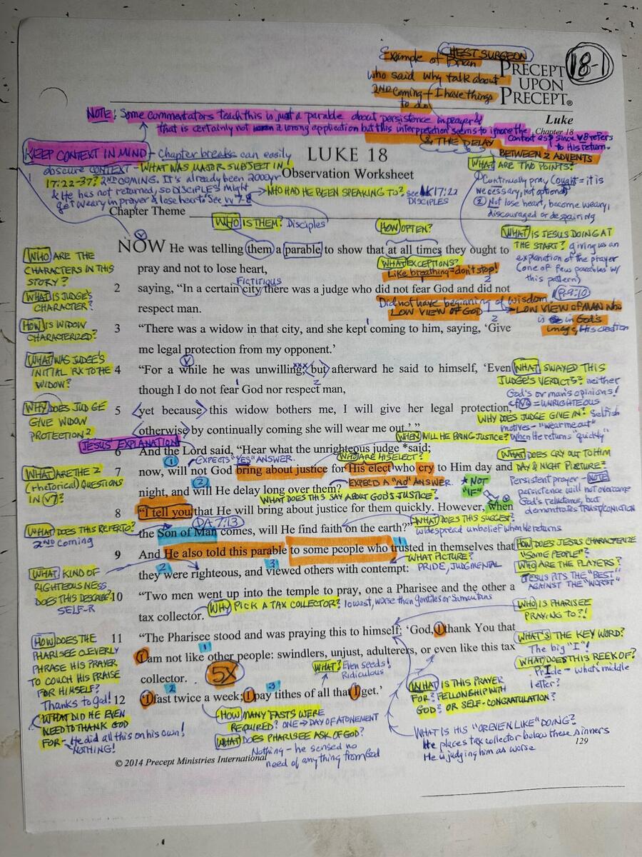 SOT Gr2 Student Workbook Full SAMPLE