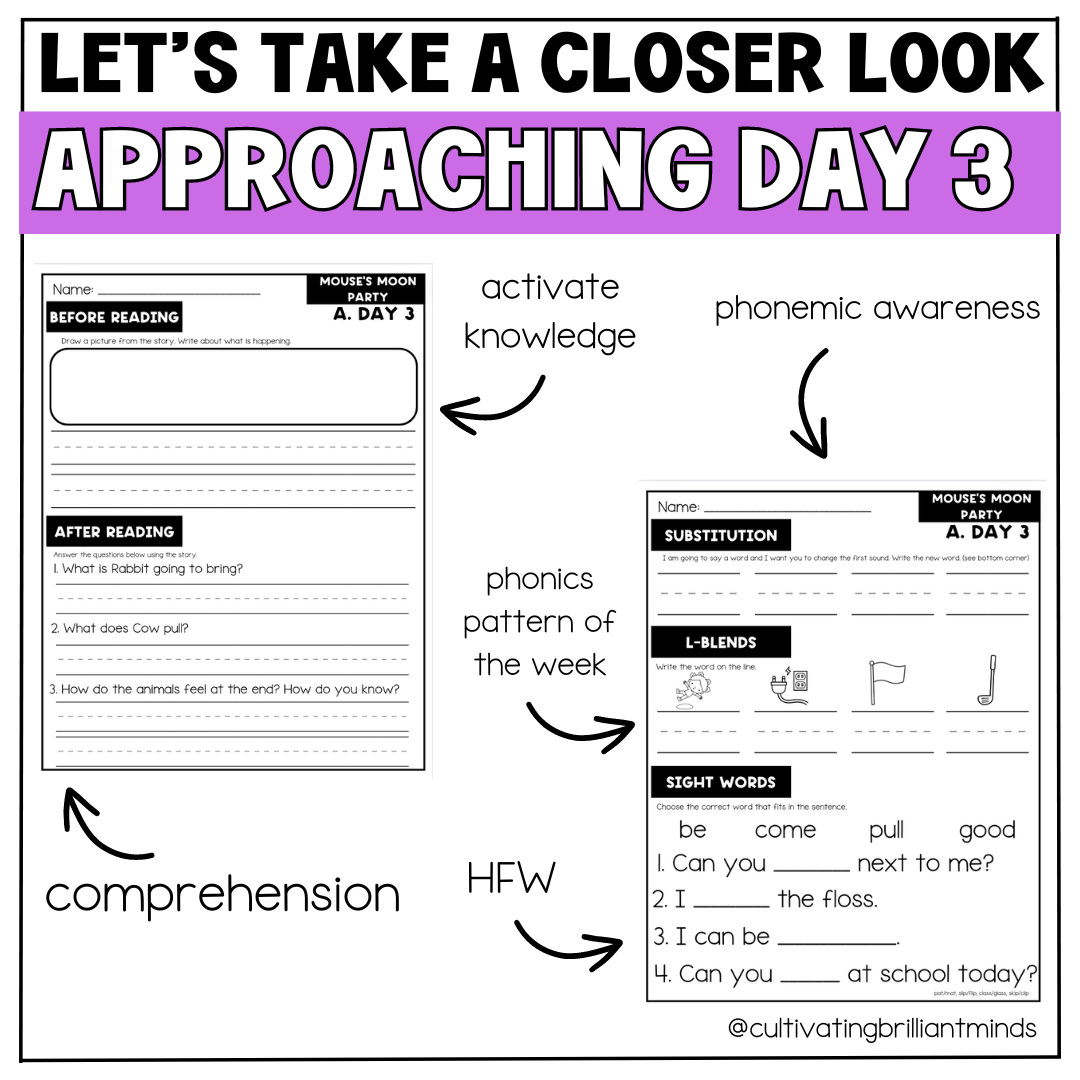 McGraw Hill Wonders First Grade Guided Reading Small Group Unit 1 Week 3 Classful