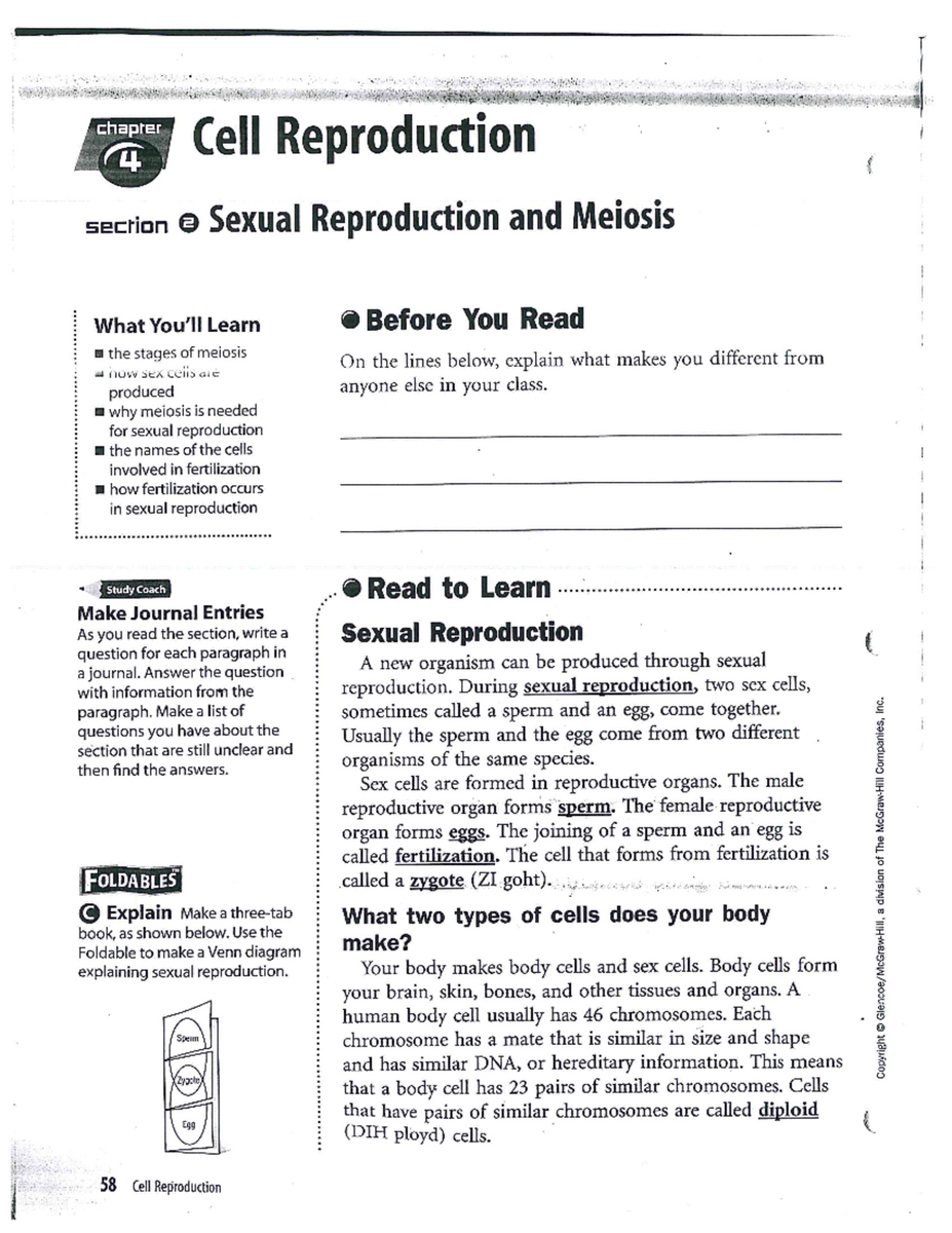 Meiosis And Sexual Reproduction Worksheets 9G Studocu