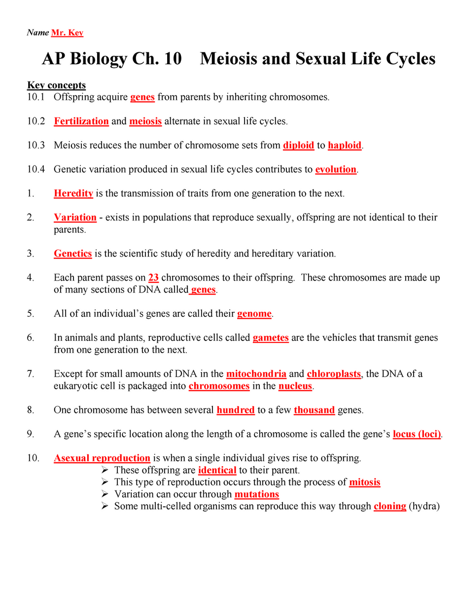 Mitosis And Meiosis Worksheet Interactive Beyond Worksheets Library