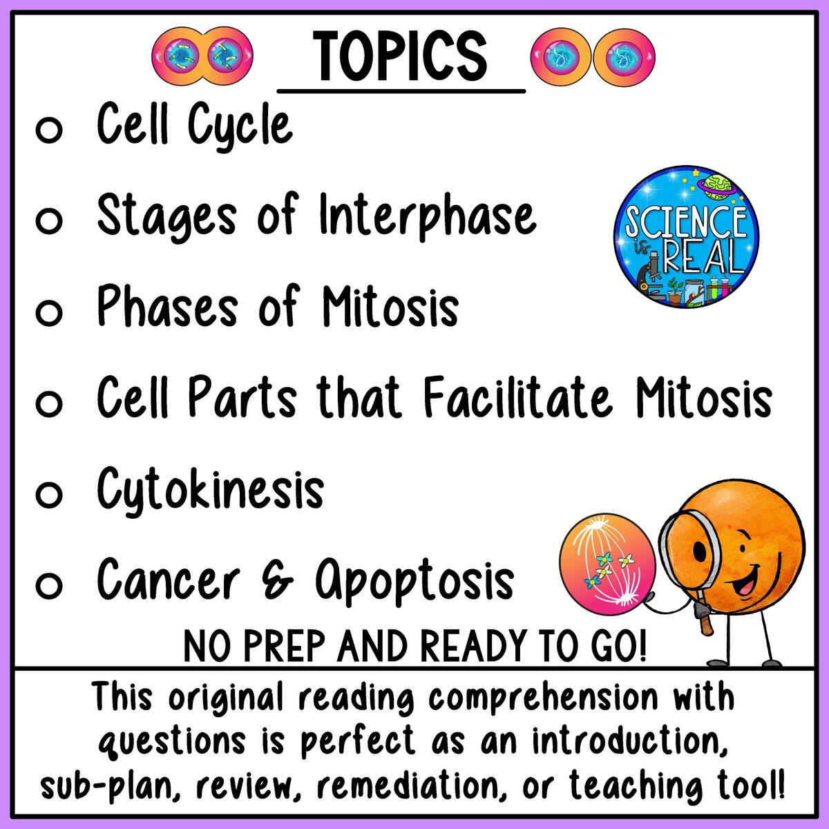 Mitosis Reading Comprehension And Questions Classful