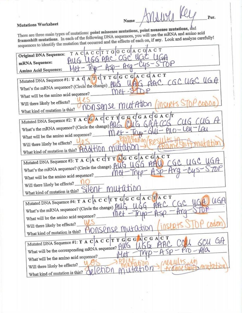 Mutations Worksheet Answer Key Pdf Fcserver Nvnet Mutations Worksheet Answer Key Pdf Fcserver Nvnet