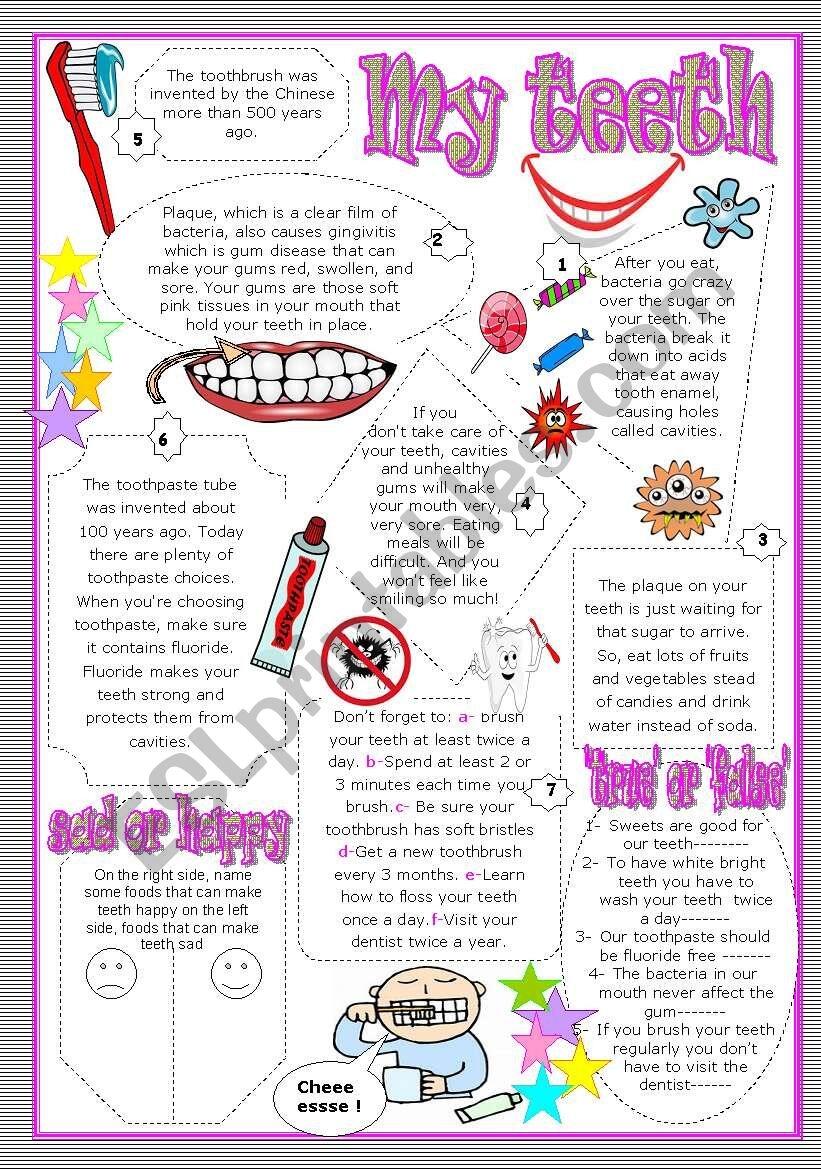 My Teeth Reading Ws With Comprehension Activities ESL Worksheet By Mouna Mch