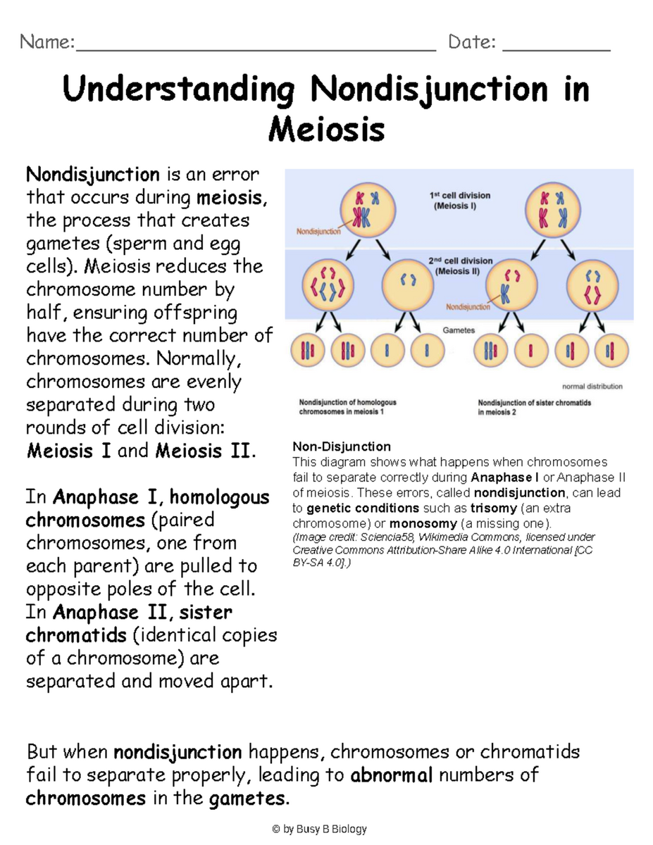 Nondisjunction In Meiosis Reading Comprehension Worksheet Studocu