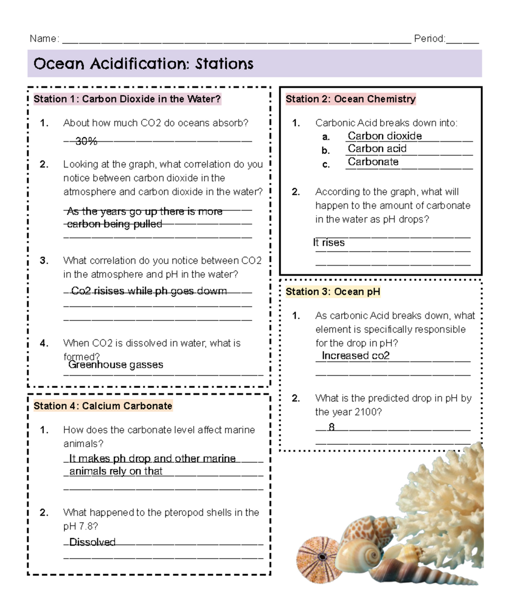 Ocean Acidification Stations Guide Final Exam Review Studocu Ocean Acidification Stations Guide Final Exam Review Studocu