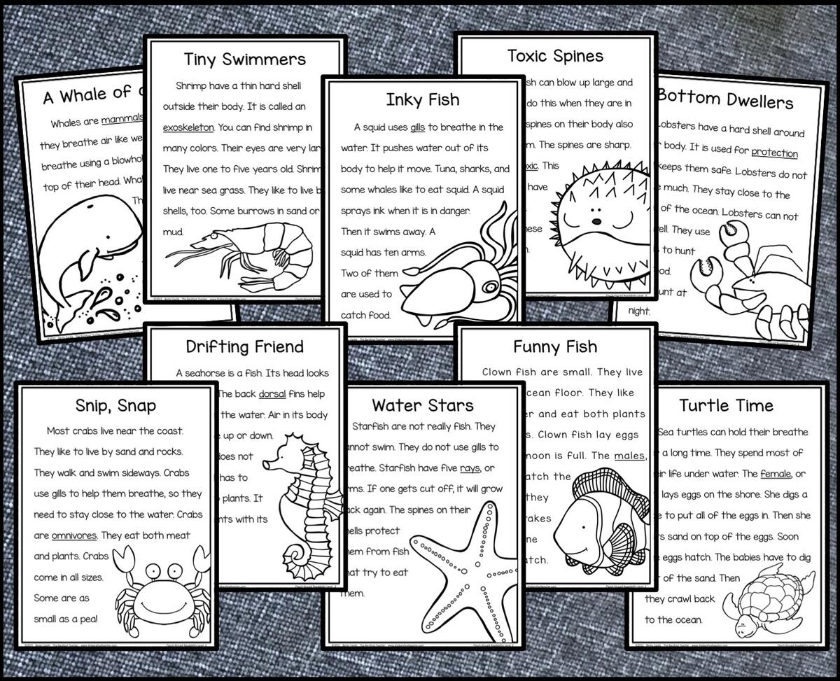 Ocean Themed Reading Comprehension Pack Plus A FREE DOWNLOAD The Barefoot Teacher Ocean Themed Reading Comprehension Pack Plus A FREE DOWNLOAD The Barefoot Teacher