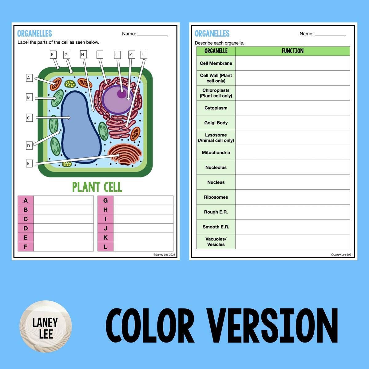 Organelles Worksheet Label And Describe Laney Lee