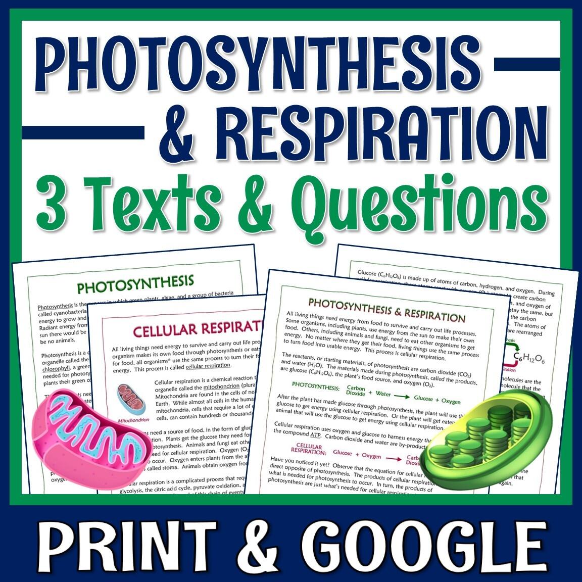 Photosynthesis And Cellular Respiration Article And Worksheet Set Flying Colors Science Photosynthesis Respiration Self Checking Practice Worksheet